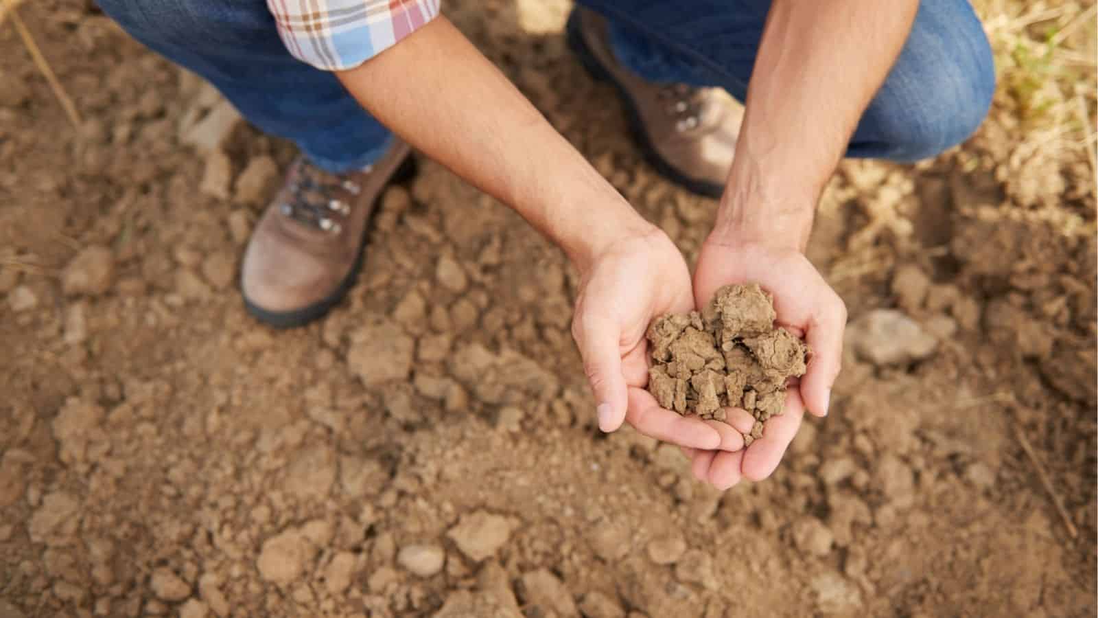 A person holds a handful of dry soil while kneeling on the ground, with dirt and their boots visible in the background.