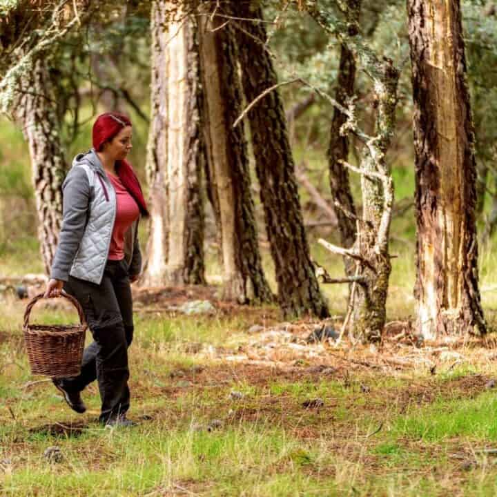 A woman with red hair walks through a forest carrying a wicker basket in one hand.
