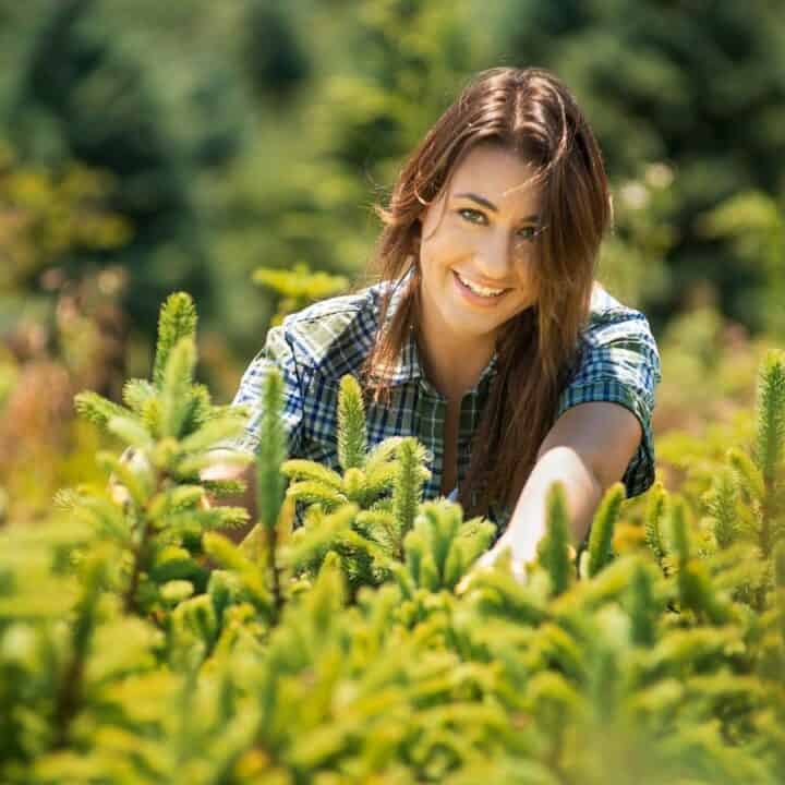 A woman wearing a plaid shirt smiles while standing among green pine trees outdoors on a sunny day.