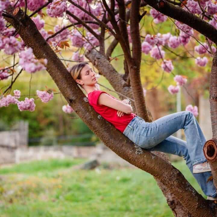 A young woman in a red shirt and jeans reclines on the branches of a blossoming cherry tree in an outdoor garden setting.