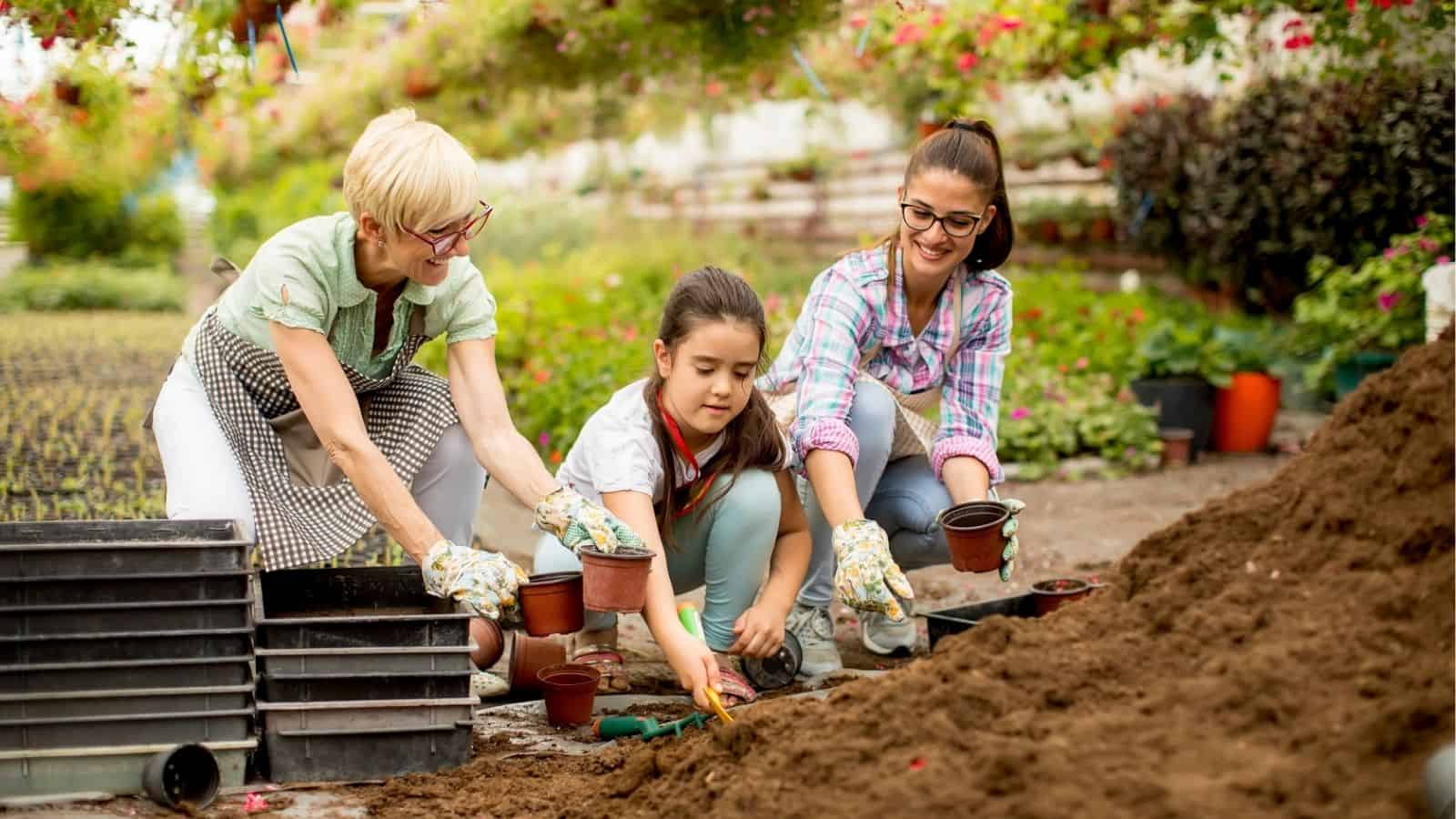 13 Gardening Habits That Make Your Plants Grow Faster • Schisandra ...