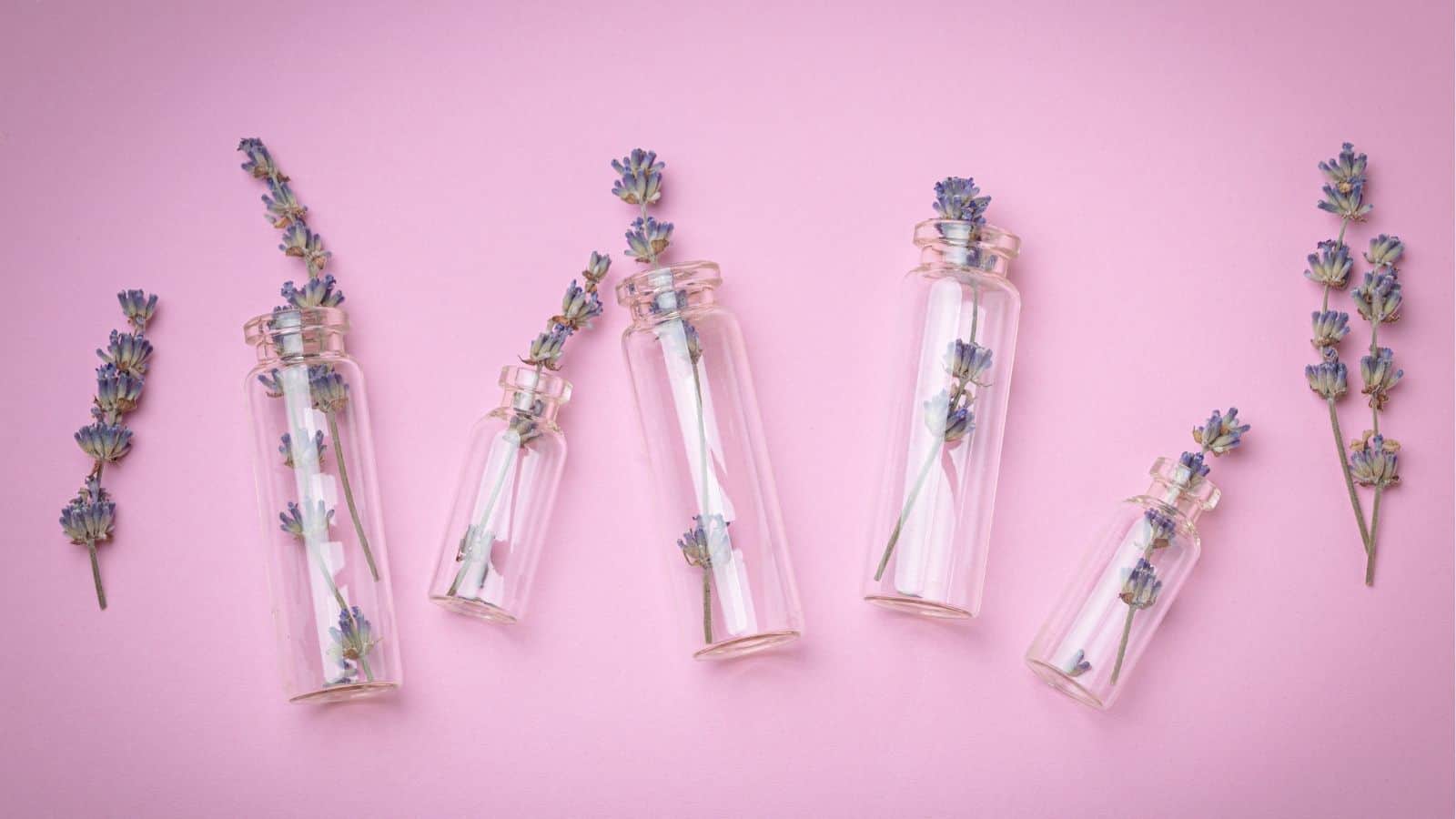 Six glass bottles of varying sizes contain sprigs of lavender, arranged on a light pink background with additional lavender sprigs placed beside them.