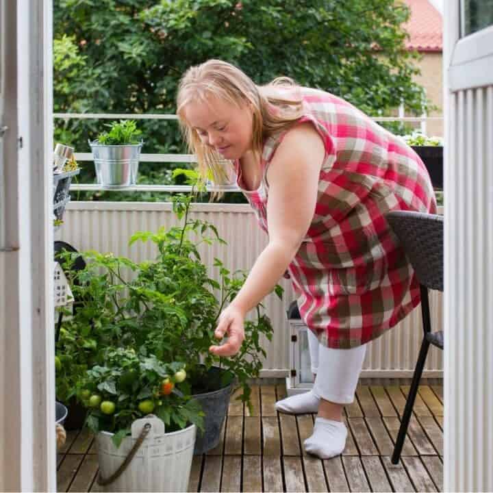 A woman in a plaid dress tends to potted plants on a wooden balcony, reaching down to touch a tomato plant.