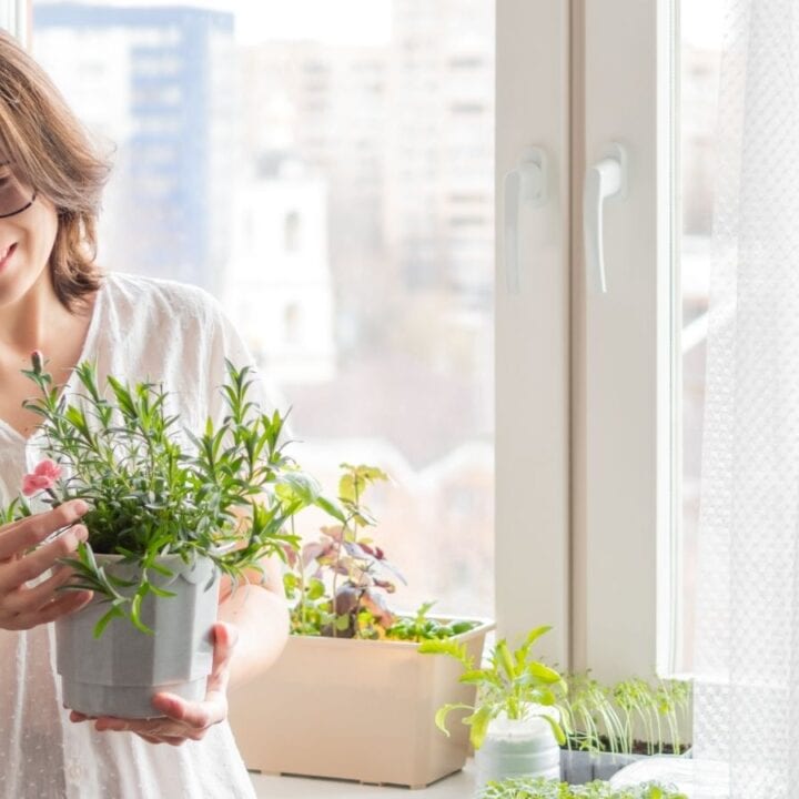 A woman in a white shirt stands by a window, smiling as she tends to a potted plant. Other plants and buildings are visible in the background.