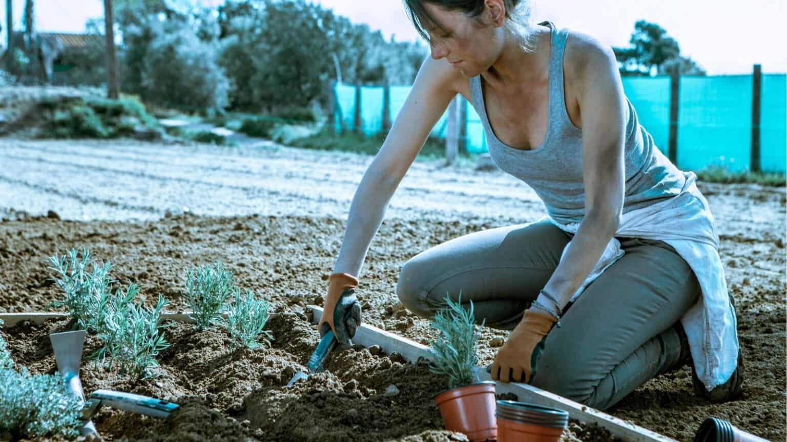 13 Gardening Habits That Make Your Plants Grow Faster • Schisandra ...