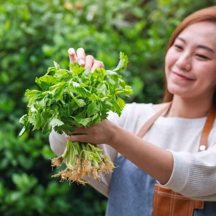 A woman holding a bunch of freshly harvested leafy greens, smiling outdoors with greenery in the background.