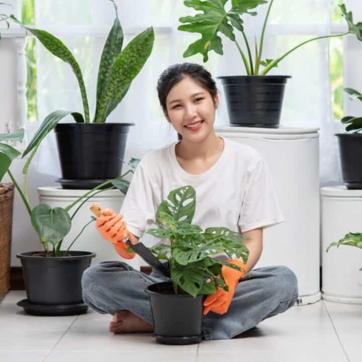 A woman wearing orange gloves sits on the floor indoors, tending to a potted plant, surrounded by several other houseplants.