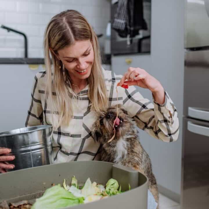 A woman sits on the kitchen floor holding a metal bucket, feeding a treat to a dog next to a compost bin filled with food scraps.