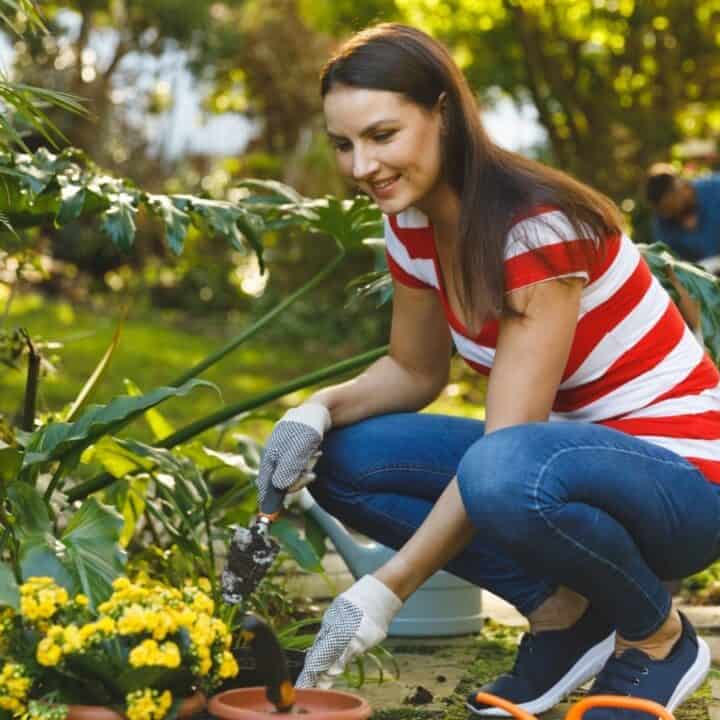 Woman wearing gloves plants flowers in a garden, smiling and crouching beside yellow blossoms. Another person is seen gardening in the background among green foliage.