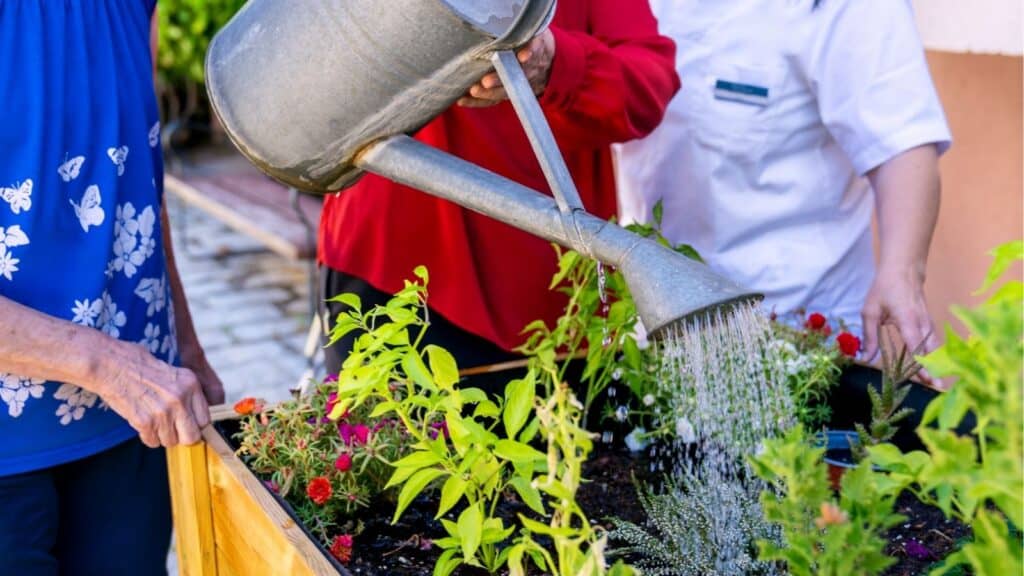 13 Gardening Habits That Make Your Plants Grow Faster • Schisandra ...