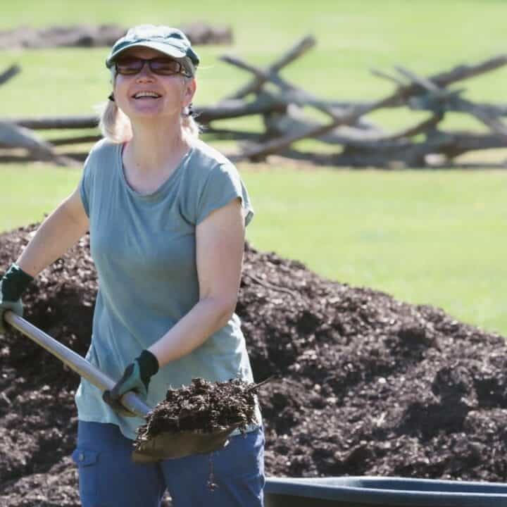 A woman wearing gloves, sunglasses, and a cap shovels mulch outdoors near a wooden fence on a sunny day.