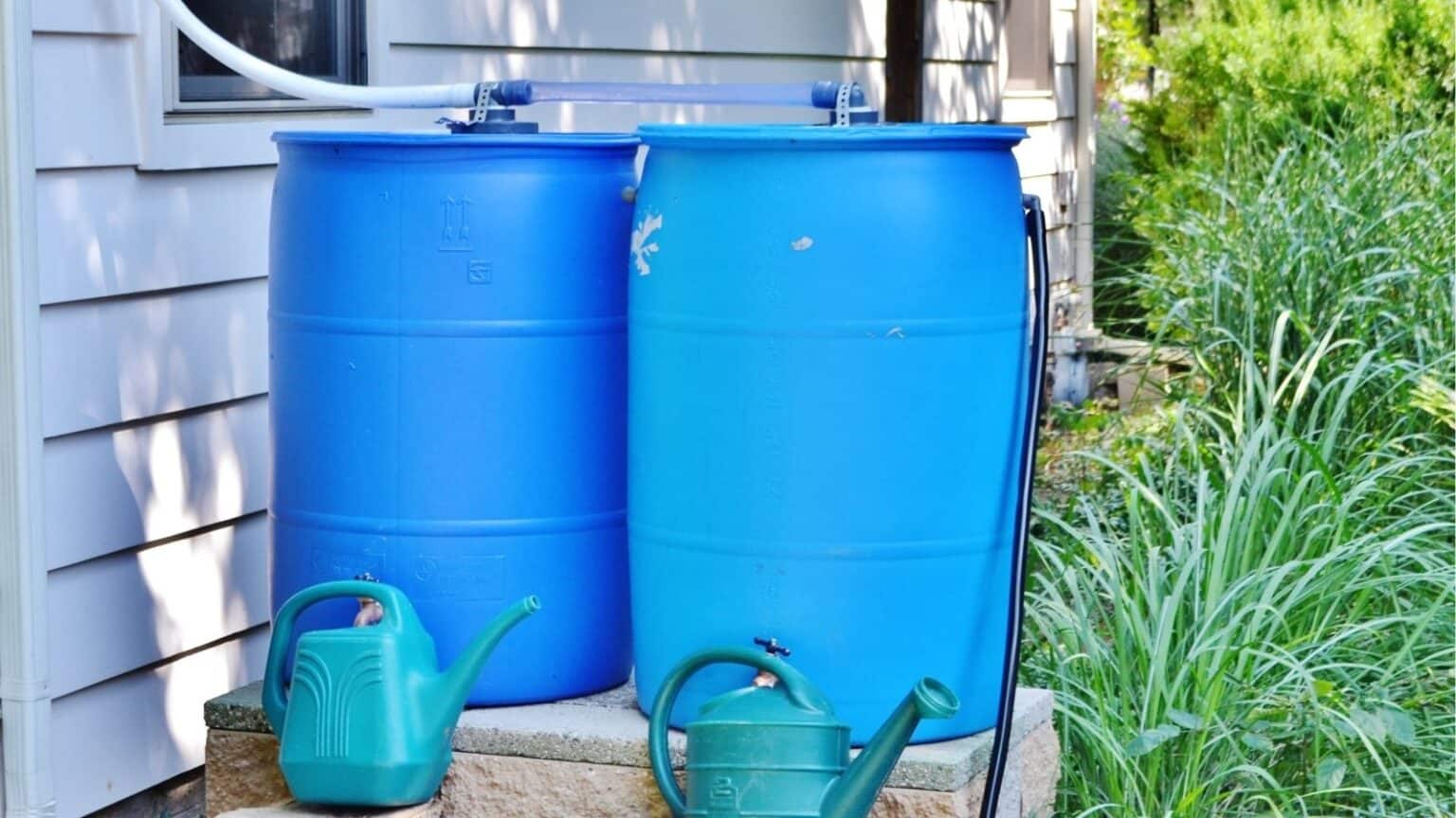 Simple Water Collection 10 Simple DIY Projects for a Greener Home • Schisandra & Bergamot