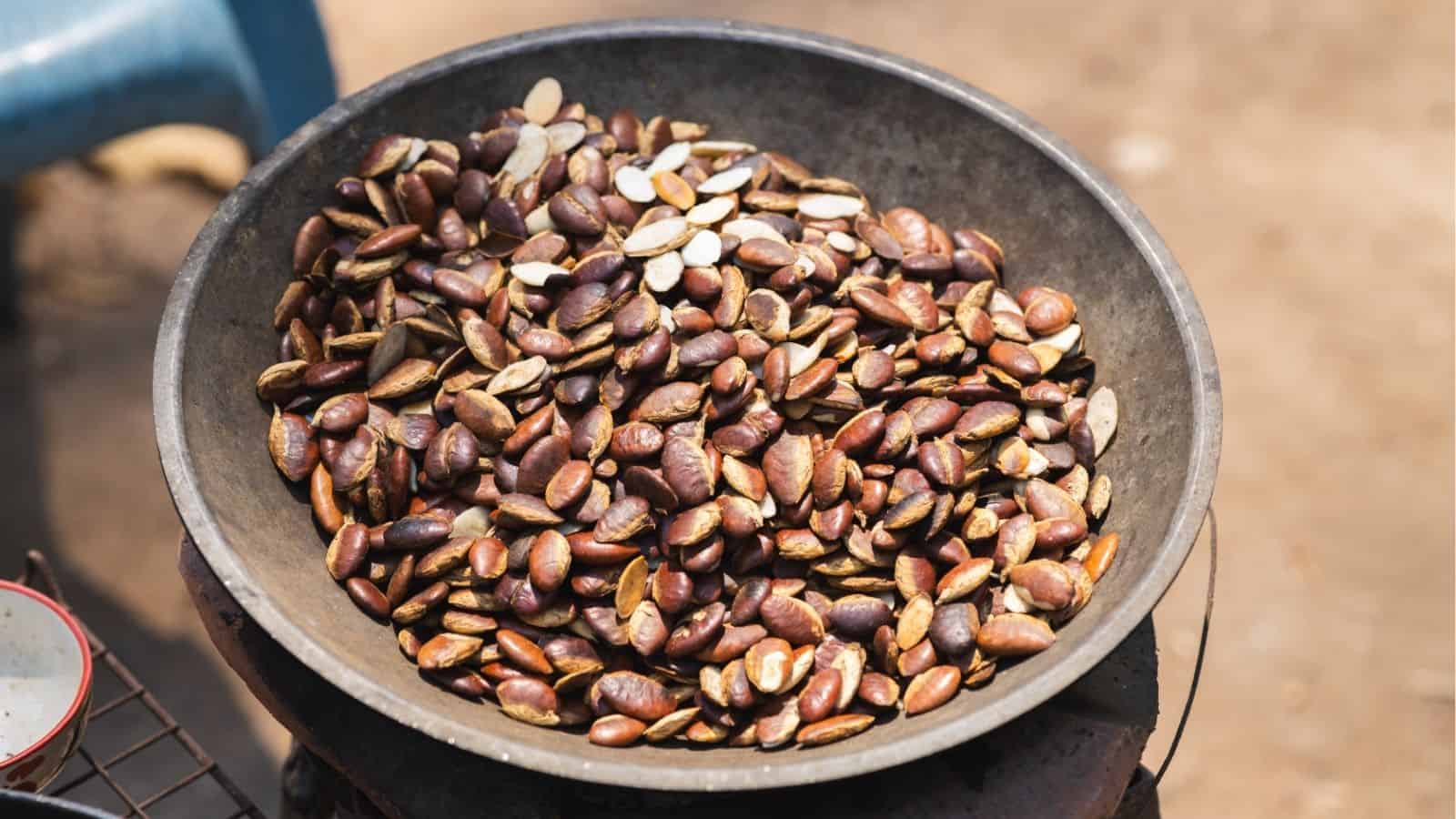 A metal bowl filled with roasted brown seeds sits on a surface outdoors, with some seeds showing split shells.