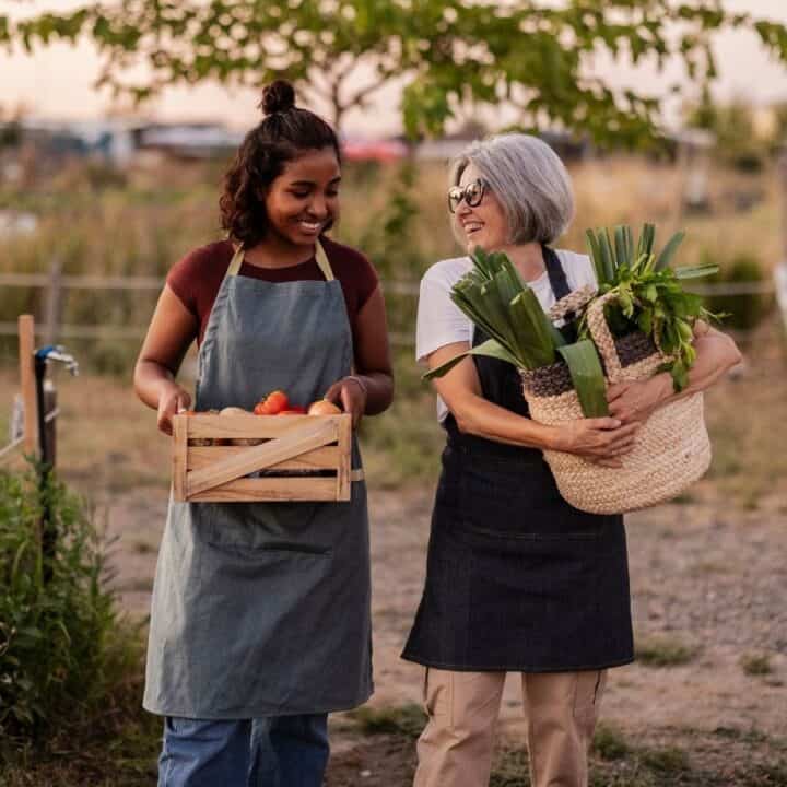 Two women wearing aprons walk outdoors carrying freshly harvested vegetables; one holds a crate of tomatoes, the other a straw bag filled with greens.