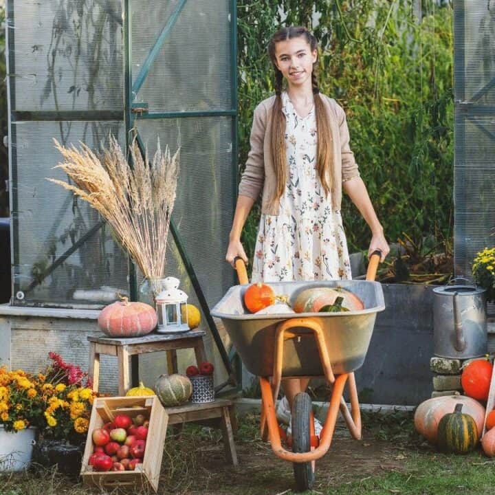 A woman stands outdoors holding a wheelbarrow filled with pumpkins and squash, surrounded by crates of produce, flowers, and gardening tools.