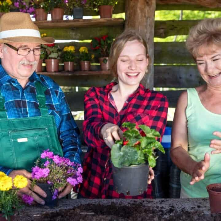 Three people in a garden, holding potted plants and smiling, surrounded by flowers and gardening tools on a wooden table.