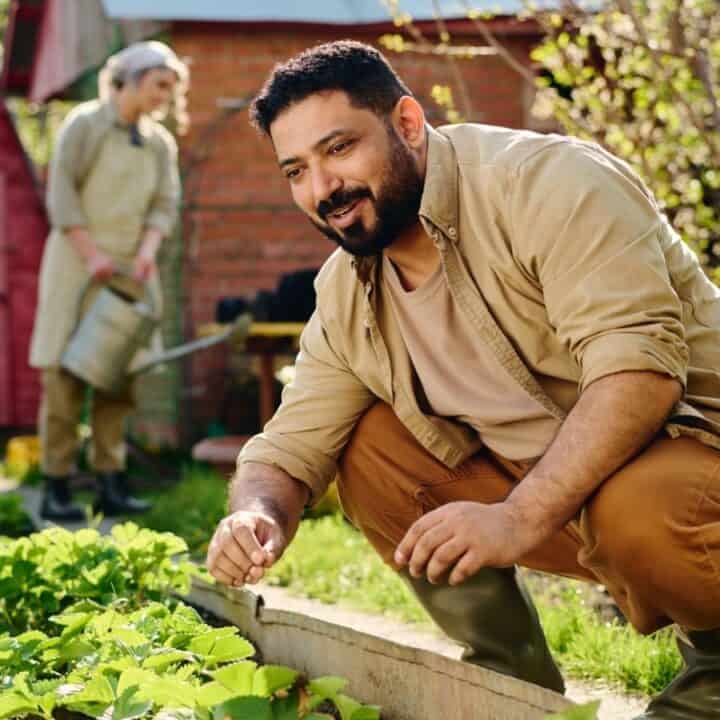 A man crouches beside a garden bed with leafy plants, smiling at a smartphone on a tripod, while another person waters plants in the background.