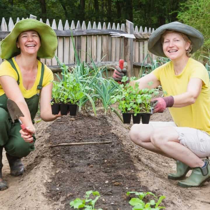 Two women in sun hats and yellow shirts kneel in a garden holding seedling trays, surrounded by vegetable plants and gardening tools, with a wooden fence in the background.