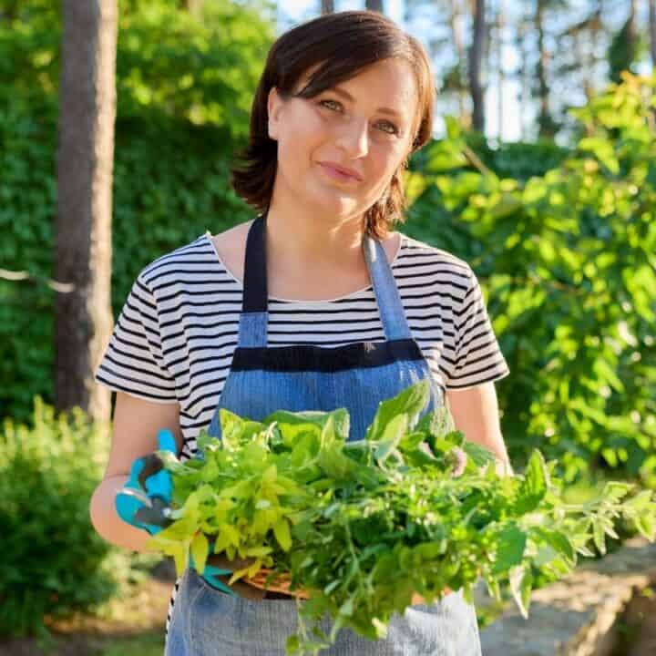 Woman wearing a striped shirt and denim apron holds a basket of freshly picked herbs in a sunlit garden.