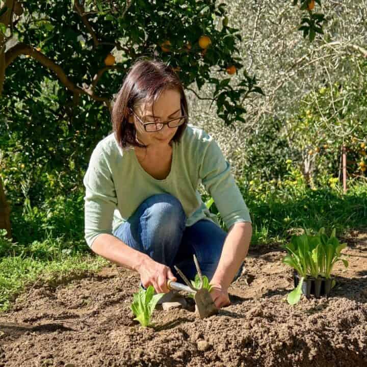 A woman wearing glasses is kneeling in a garden, planting seedlings in the soil with a small trowel. Trees and greenery surround her in the background.