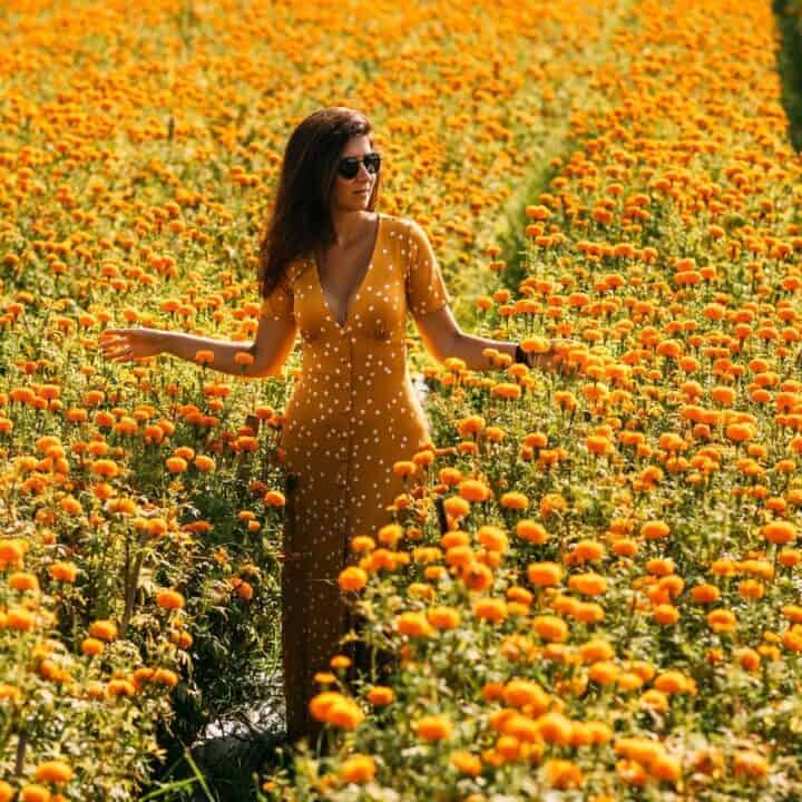A woman wearing sunglasses and a yellow polka dot dress stands in the middle of a field of blooming orange marigold flowers.