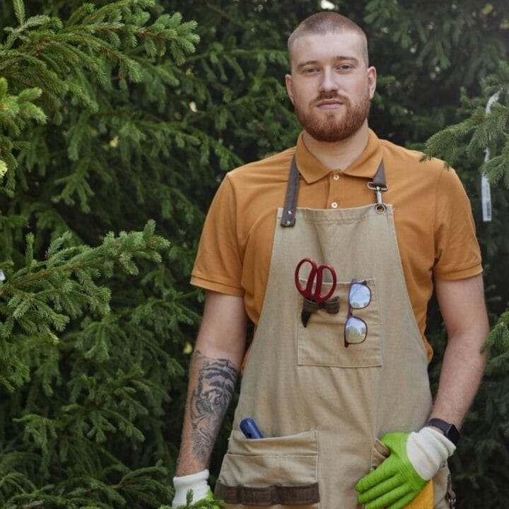 A man wearing an apron and gloves stands in front of dense evergreen trees, holding gardening tools in his apron pockets.