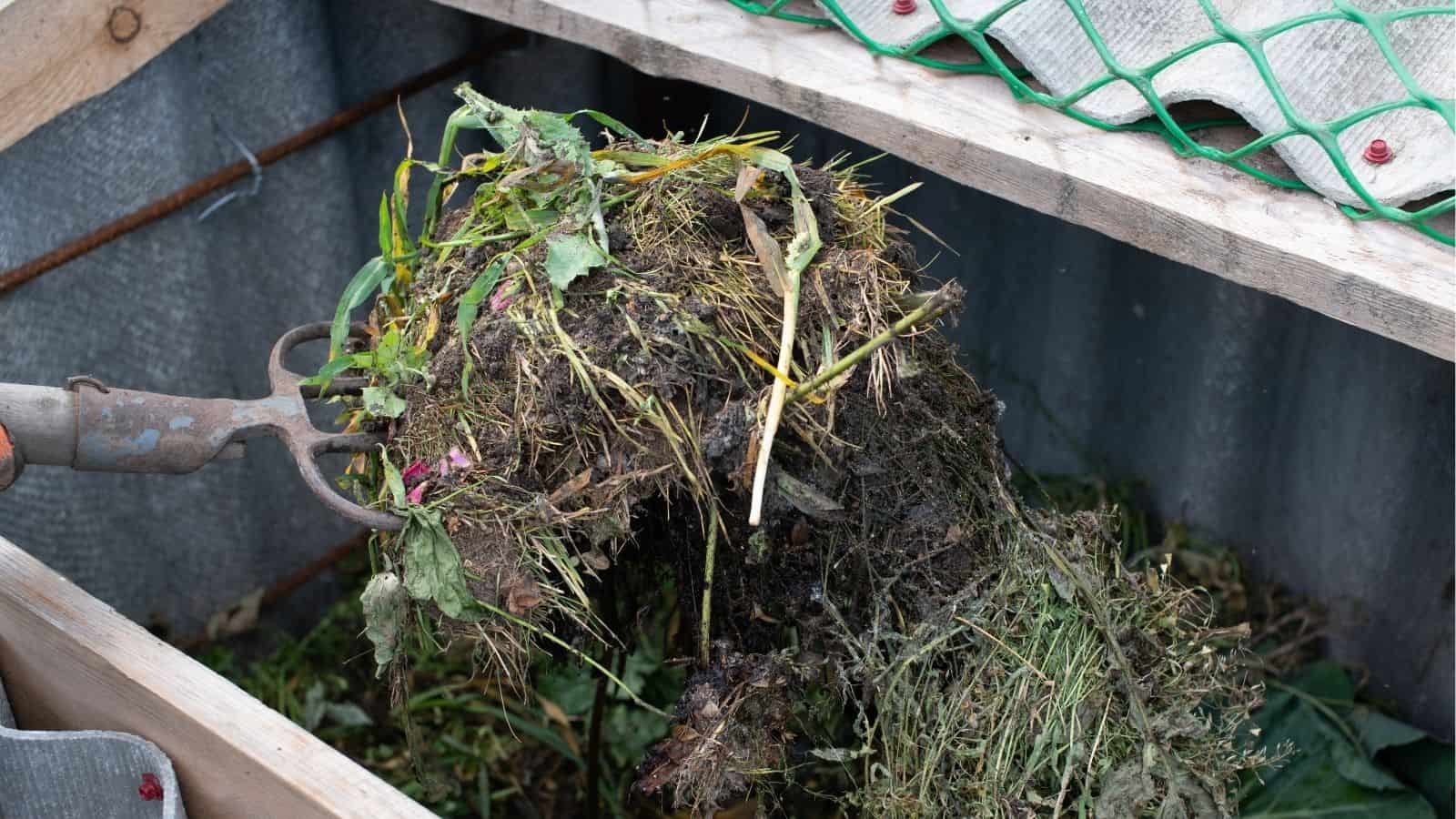 A shovel lifts a pile of decomposing plant material from a wooden compost bin, surrounded by green netting and wooden planks.