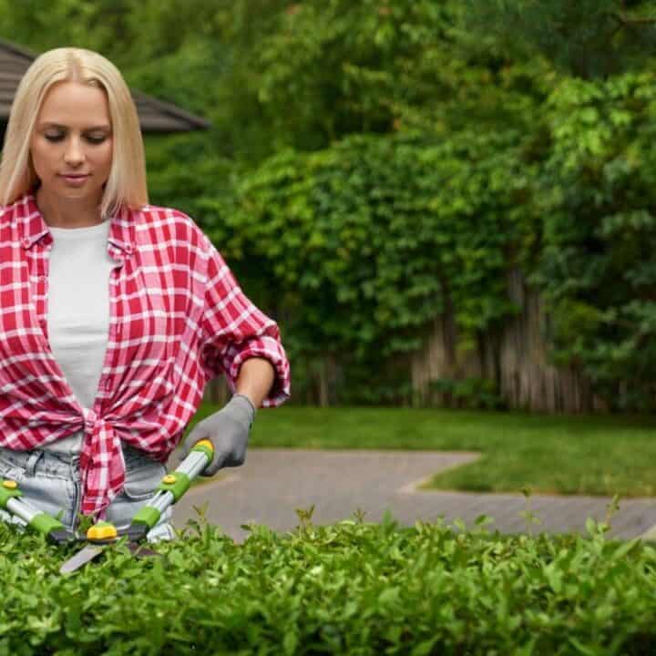 Woman in gloves and a red plaid shirt trims a green hedge with garden shears in a backyard with grass and trees.