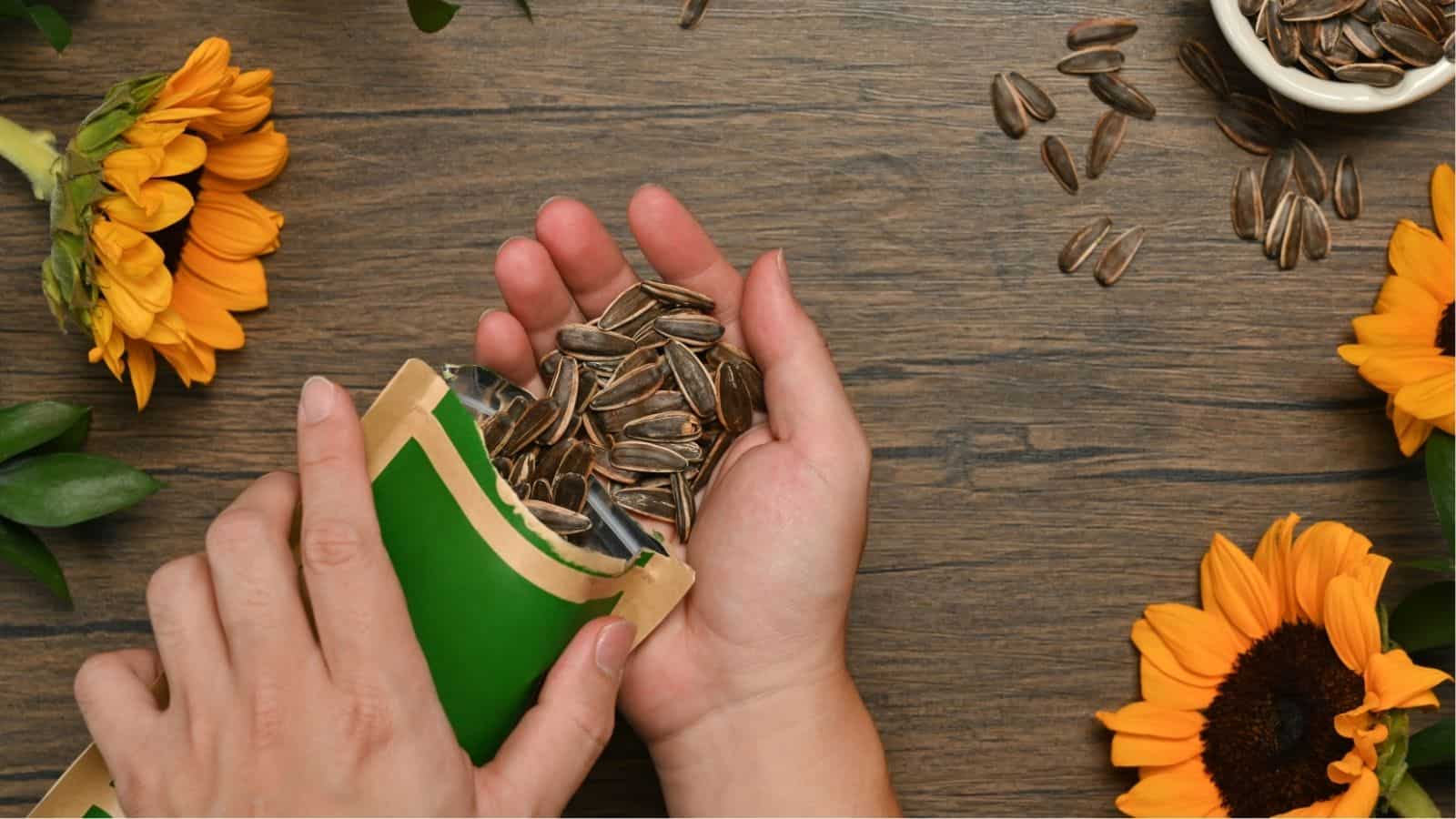 A person holds sunflower seeds pouring from a green and gold package, with scattered seeds and sunflowers on a wooden surface.