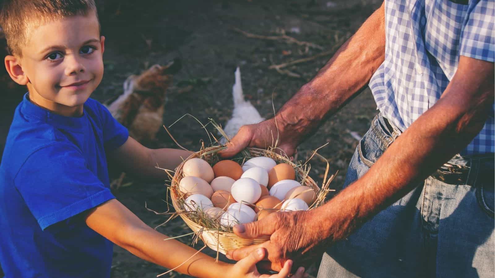 A child and an adult hold a basket filled with eggs and straw; chickens are visible in the background.