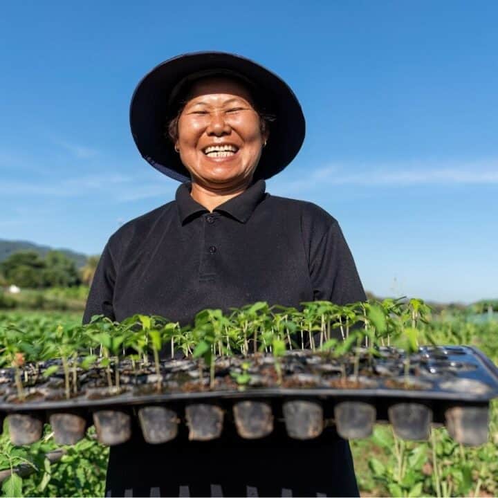 A person wearing a hat and black shirt smiles while holding a tray of young seedlings in a field on a clear day.