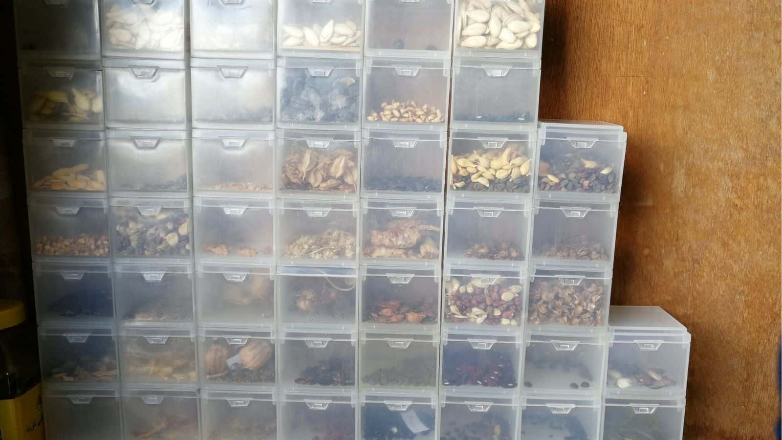 Clear plastic drawers filled with various dried seeds and beans are stacked against a wooden wall, with each drawer containing a different type.