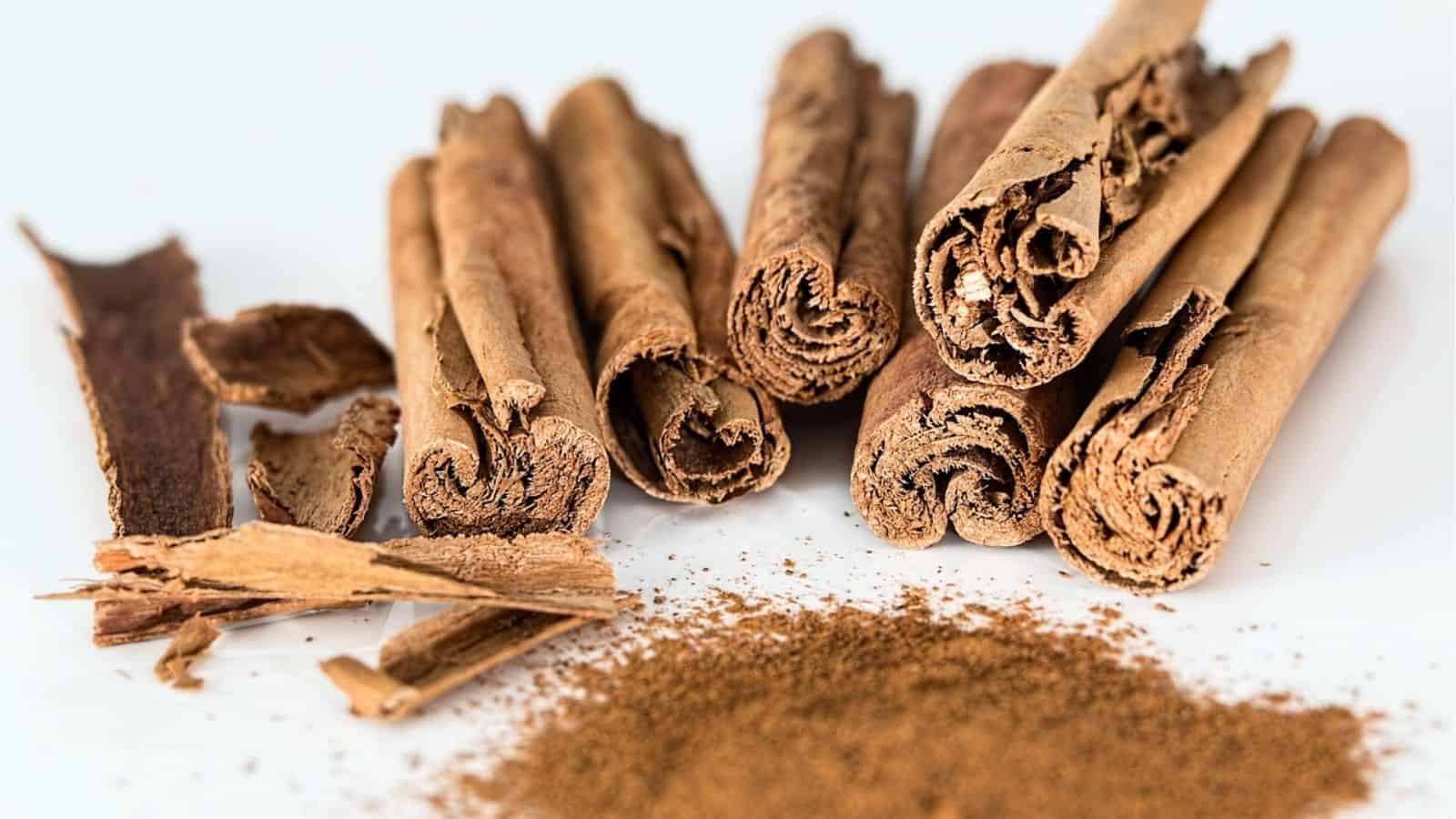 Several cinnamon sticks are arranged on a white surface next to a pile of cinnamon powder and a few broken pieces of cinnamon bark.
