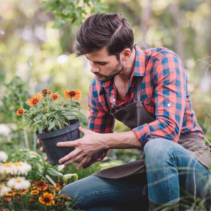 A man wearing a plaid shirt and apron is kneeling in a garden, examining an orange-flowered potted plant surrounded by various plants and flowers.