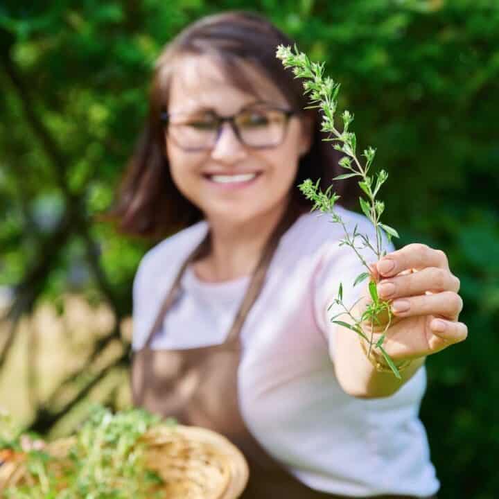 A woman wearing glasses and an apron holds up a sprig of fresh herbs outdoors, with a basket of herbs in her other hand and greenery in the background.
