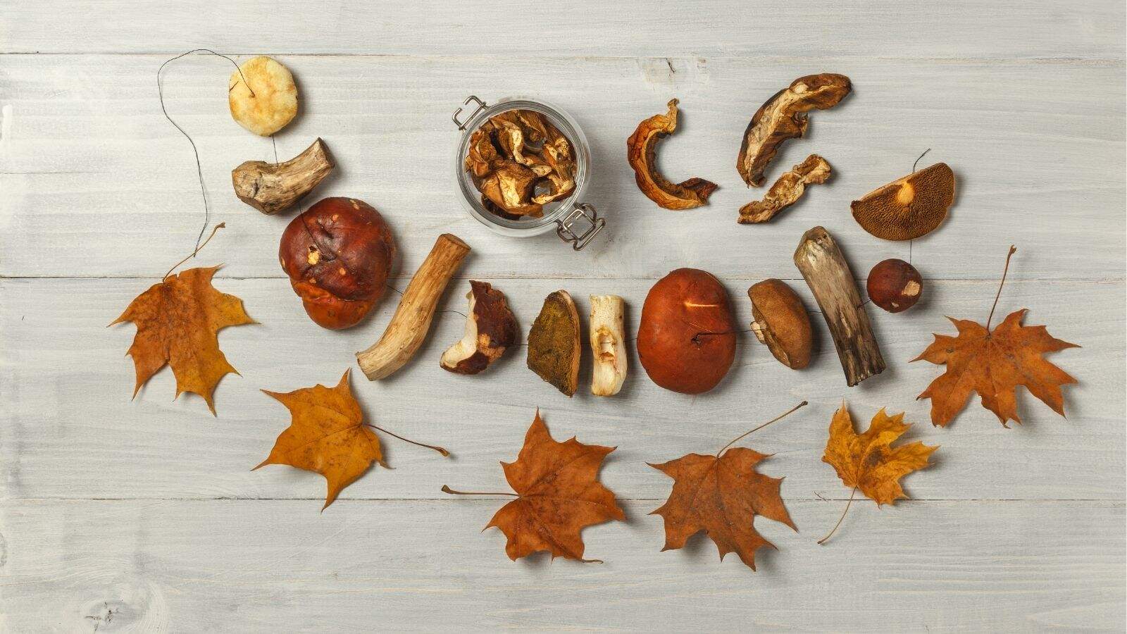 Dried mushrooms, whole and sliced, are arranged on a light wooden surface with a glass jar and several brown autumn leaves.