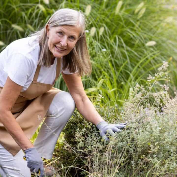 Older woman wearing an apron and gloves tending to plants in a garden, surrounded by greenery.