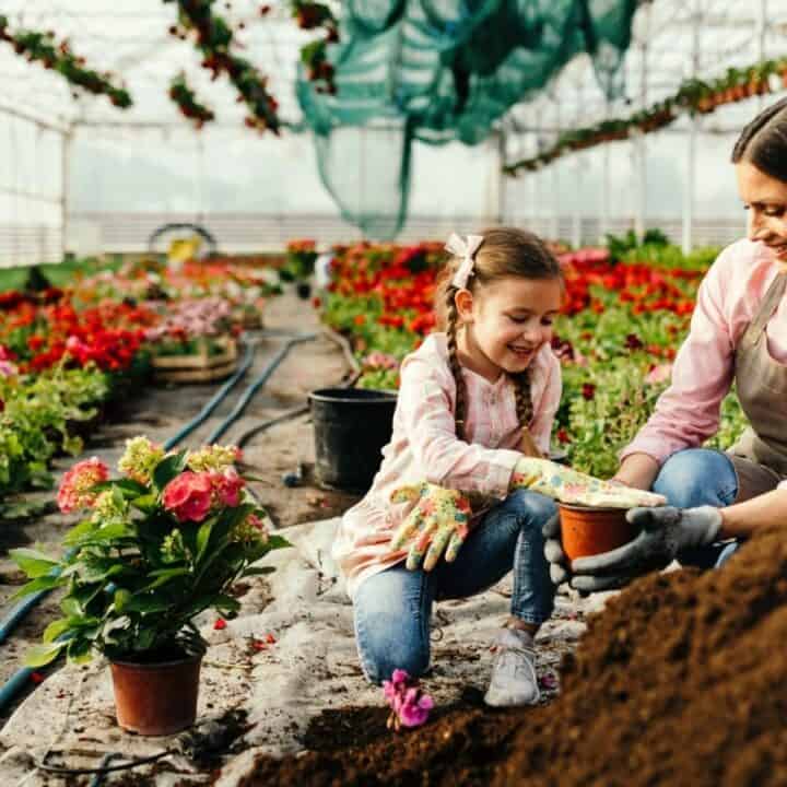 An adult and child are planting flowers together in a greenhouse filled with plants and flowers, both smiling and wearing gardening gloves.