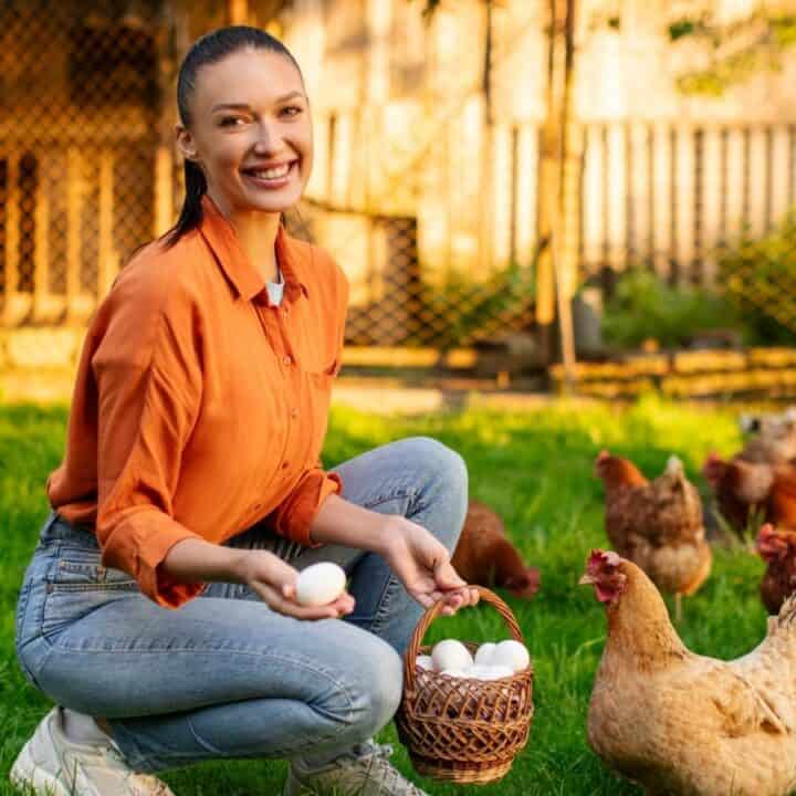 A woman kneels on grass holding a basket of eggs and smiles at the camera, surrounded by chickens in a sunlit outdoor area.
