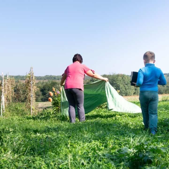 An adult and a child set up a green tarp on a grassy field with trees and a blue sky in the background.