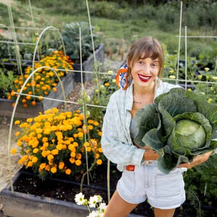A woman stands in a garden holding a large cabbage, surrounded by raised beds filled with flowers and vegetables.