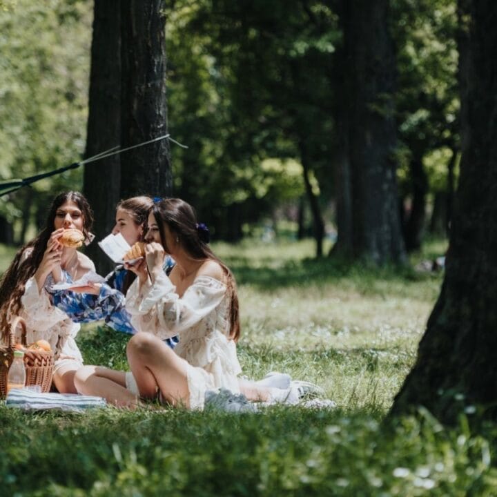 Three women sit on a blanket having a picnic in a grassy, tree-filled park, eating sandwiches and snacks.