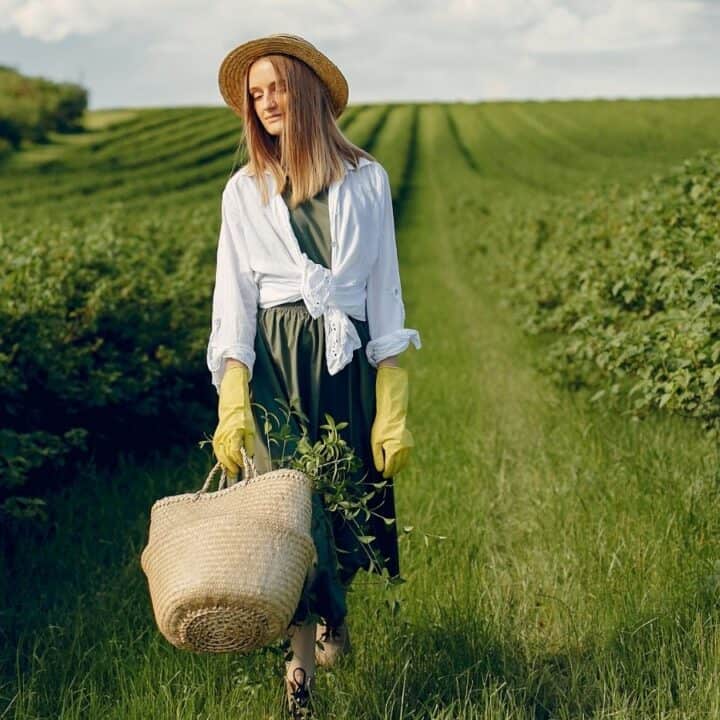 A woman wearing a hat, gloves, and a white shirt carries a woven basket while walking through a green field or garden.