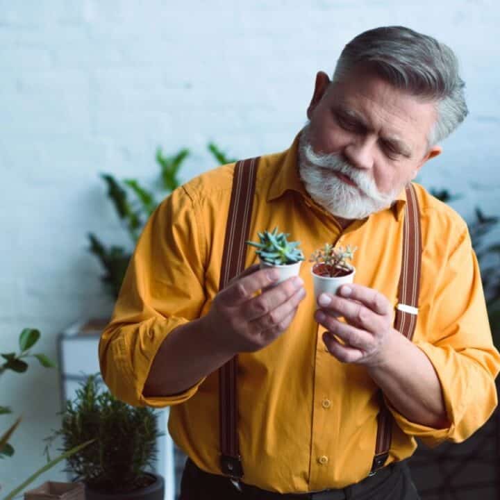 An older man with a gray beard, wearing a yellow shirt and suspenders, examines two small potted succulents indoors surrounded by other plants.