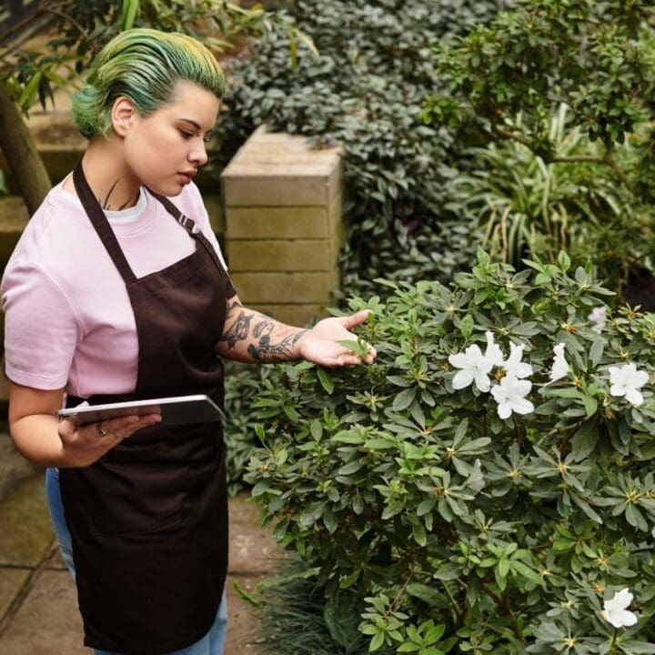 Person with green hair and tattoos, wearing an apron and holding a tablet, inspects blooming white flowers on a bush in a garden.
