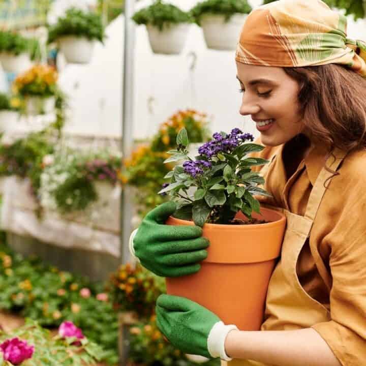 A woman wearing gardening gloves and a headscarf holds a potted plant while standing in a greenhouse filled with various flowers and plants.