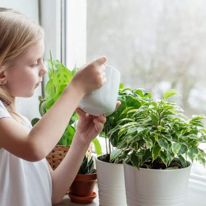 A young girl with long blonde hair waters potted plants placed on a windowsill using a white watering can.