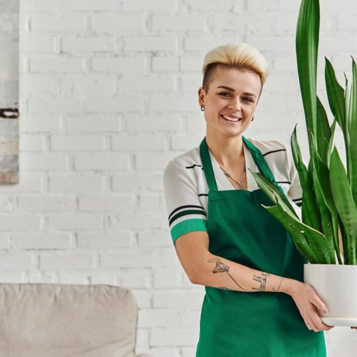 A person wearing a green apron holds a potted snake plant and smiles, standing in a bright living room with white brick walls.