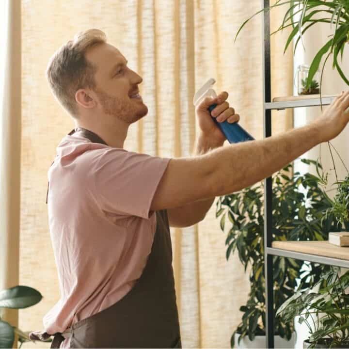 A man wearing an apron sprays and wipes houseplants on a shelf in a sunlit room filled with greenery.