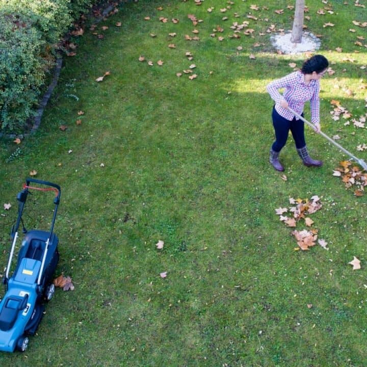 A person rakes fallen leaves on a grassy lawn with a lawnmower nearby and scattered brown leaves around.